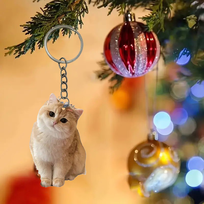 Schwarz-weißer Katzen-Schlüsse – Resin Art Ring Design Bewertung und Preis